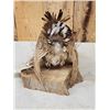 Image 5 : Strutting Prairie Chicken Full Body Bird Taxidermy