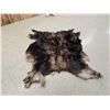 Image 1 : Moose Soft Tanned Skin Taxidermy