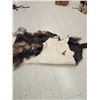 Image 3 : Moose Soft Tanned Skin Taxidermy