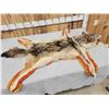 Image 5 : Coyote Rug Taxidermy