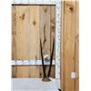 Image 2 : African Gemsbok Horns & Ostrich Egg Sculpture Taxidermy