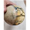 Image 7 : African Gemsbok Horns & Ostrich Egg Sculpture Taxidermy