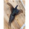 Image 2 : Color Phase Ringneck Pheasant In Flight Bird Taxidermy