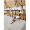Image 2 : 4x4 Whitetail Antlers On Reproduction Skull