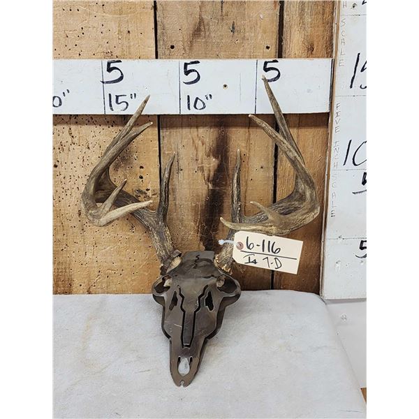5x5 Whitetail Antlers With Metal Mask Plaque