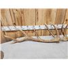 Image 3 : Set Of 6x6 Elk Shed Antlers