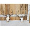Image 1 : 2 Sets Of Whitetail Antlers On Skulls