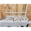 Image 1 : 26.2 Lbs Of Whitetail Shed Antlers