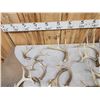 Image 9 : 26.2 Lbs Of Whitetail Shed Antlers