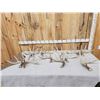 Image 1 : 20.6 Lbs Of Whitetail Shed Antlers