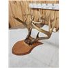 Image 5 : 6 Sets Of Deer Antlers