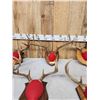 Image 3 : 7 Sets Of Whitetail Antlers On Plaques