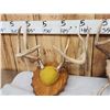 Image 2 : 4 Sets Of Whitetail Antlers On Plaques