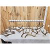Image 1 : 21.2 Lbs Of Mule Deer Antlers Cut Below The Burr