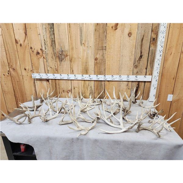33.3 Lbs Of Whitetail Cut Off Antlers