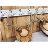 Image 7 : 6 Sets Of Whitetail Antlers On Plaques