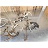 Image 2 : 16.9 Lbs Of Whitetail Antlers Cut Below The Burr