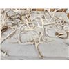 Image 3 : 40.3 Lbs Of Whitetail Shed Antlers