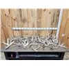 Image 1 : 31.6 Lbs Of Whitetail Cut Off Antlers