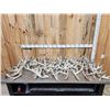 Image 1 : 44.6 Lbs Of Whitetail Shed Antlers