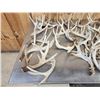 Image 3 : 44.6 Lbs Of Whitetail Shed Antlers