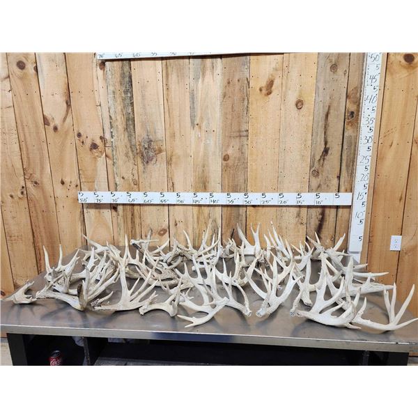 44.2 Lbs Of Whitetail Cut Off Antlers