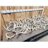 Image 6 : 44.2 Lbs Of Whitetail Cut Off Antlers