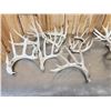 Image 6 : 32.9 Lbs Of Whitetail Cut Off Antlers