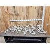 Image 1 : 32 Lbs Of Whitetail Cut Off Antlers