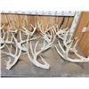 Image 3 : 32 Lbs Of Whitetail Cut Off Antlers