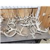 Image 7 : 29 Lbs Of Whitetail Cut Off Antlers