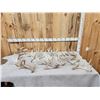 Image 1 : 23.8 Lbs Of Whitetail Shed Antlers
