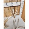 Image 5 : 21.6 Lbs Of Whitetail Shed Antlers