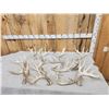 Image 1 : 21.2 Lbs Of Whitetail Shed Antlers
