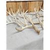 Image 3 : 21.2 Lbs Of Whitetail Shed Antlers
