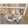 Image 3 : Monster Set Of Locked Whitetail Deer Antlers On Skulls