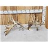 Image 1 : MONSTER 377" Whitetail Shed Antlers