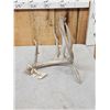 Image 2 : 92 2/8" Texas Low Fence Whitetail Shed Antler