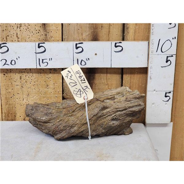 20.8 Lbs Chunk Of Petrified Wood Fossilized Fossil