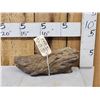 Image 1 : 20.8 Lbs Chunk Of Petrified Wood Fossilized Fossil