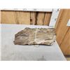 Image 3 : 20.8 Lbs Chunk Of Petrified Wood Fossilized Fossil