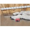 Image 2 : 2 Blue Ranch Fox Soft Tanned Furs Taxidermy