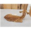 Image 5 : Whitetail Fawn Full Body Taxidermy Mount
