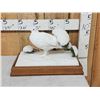 Image 1 : Ptarmigan In Winter Scene Bird Taxidermy