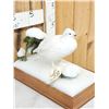 Image 5 : Ptarmigan In Winter Scene Bird Taxidermy