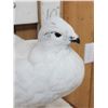 Image 6 : Ptarmigan In Winter Scene Bird Taxidermy