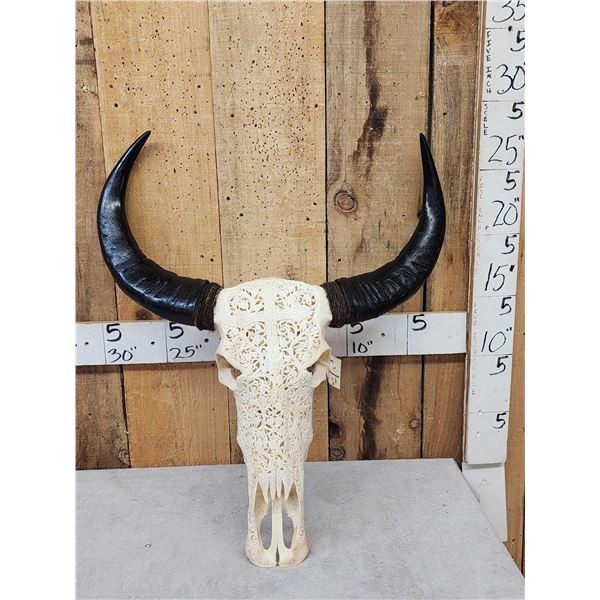 Carved Water Buffalo Skull Taxidermy