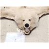 Image 2 : Blonde Phase Alaskan Brown Bear Rug Taxidermy