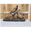 Image 1 : Rooster & Hen Ringneck Pheasants Bird Taxidermy