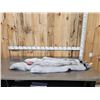 Image 1 : 2 Blue Ranch Fox Soft Tanned Furs Taxidermy